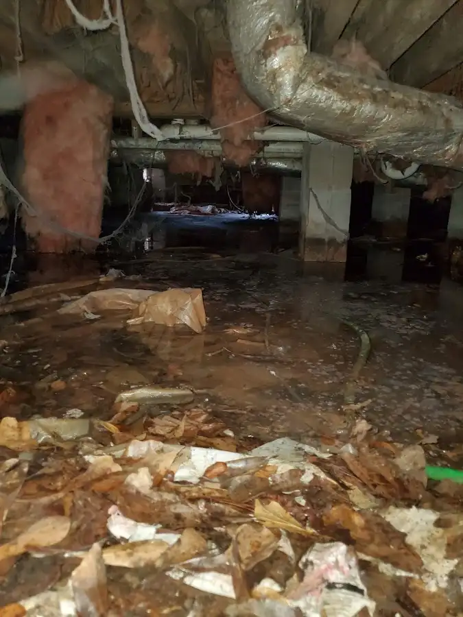 Crawl space flood assessment for Leak Detection & Repair in Oro Valley